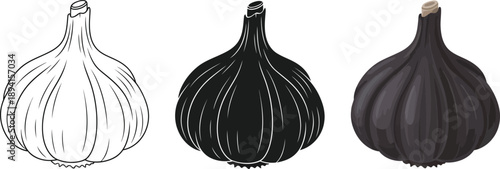 Collection of three garlic bulbs including line art silhouette and realistic illustration isolated on white background for culinary use