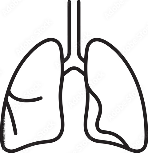 Human respiratory system diagram