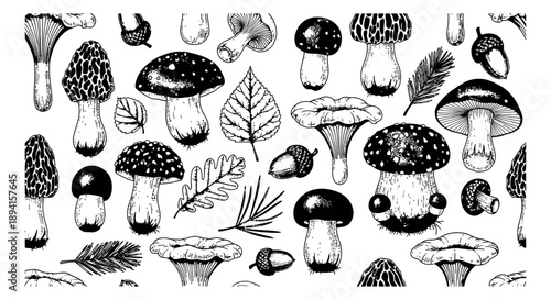 Hand drawn line art woodland elements set featuring wild mushrooms, acorns, and forest leaves for nature designs