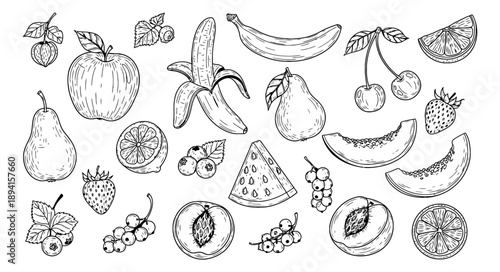 Hand drawn line art fruit and berry set featuring various fresh produce items for healthy eating and natural food designs