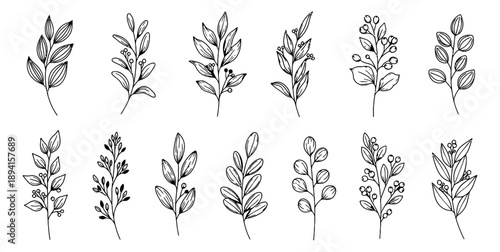 Hand drawn line art botanical elements set featuring various leaves and berry sprigs for natural decorations