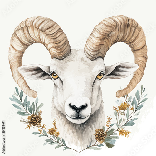 Wild Sheep, serene watercolor vector artwork with smooth washes of color and refined textures, isolated on a white background.