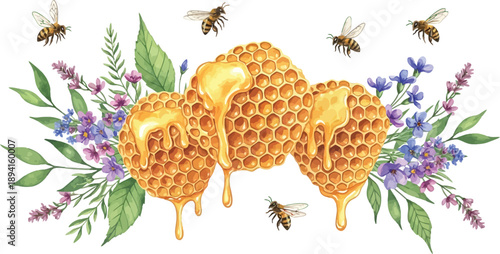 Honeycombs with dripping honey and flying bees surrounded by wildflowers, vector illustration