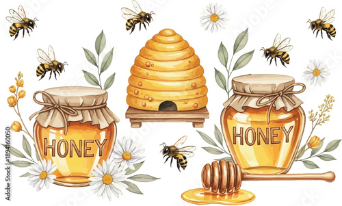 Watercolor collection of honey, honeycombs, bees, and chamomile flowers, sweet organic product, nature set