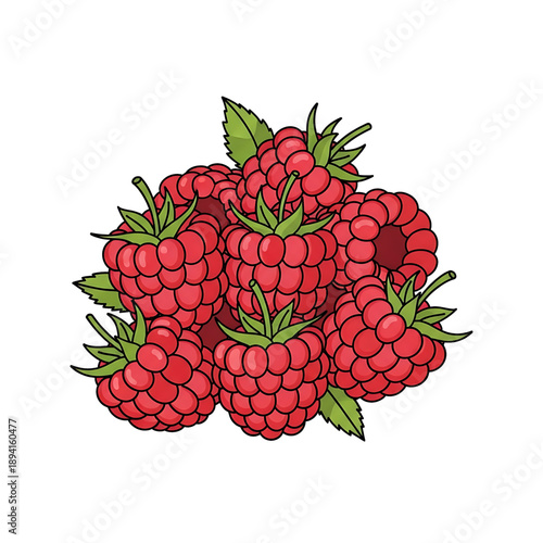 Raspberries cluster
