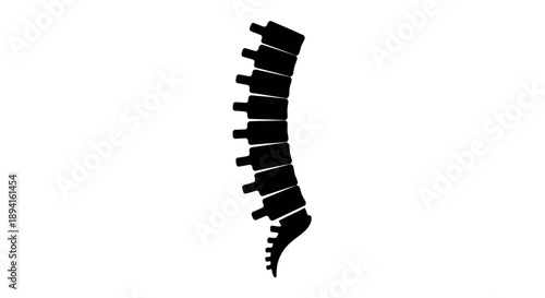 Human spine silhouette isolated on white background.