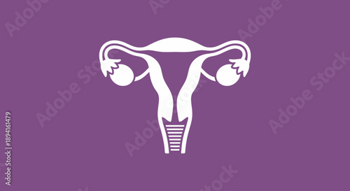 Simple white illustration of female reproductive system on purple background.