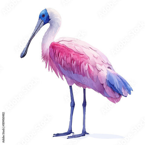 Spoonbill, serene watercolor vector artwork with smooth washes of color and refined textures, isolated on a white background.