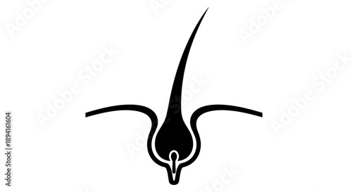 Simple black and white illustration of a sperm cell.