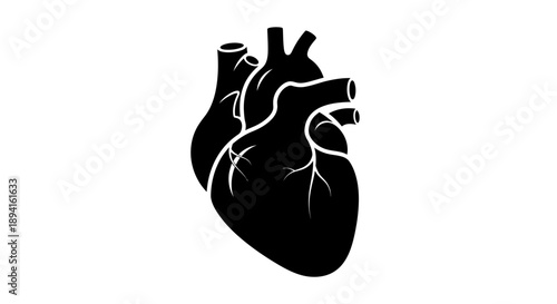 Black silhouette of a human heart with white cardiac anatomy details.
