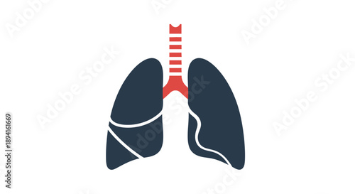 Human lungs and trachea illustration in dark blue and red.