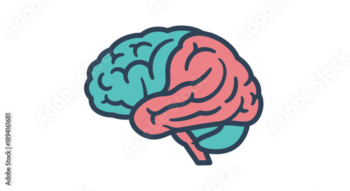 Illustration of human brain with left and right hemispheres highlighted in different colors.