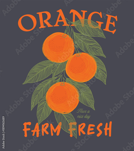 Hand drawn Oranges fruit artwork. Sweet and juicy design. Fresh fruit. summer food fashion trendy design.Orange fruit flower market. print with slogan for graphic tee t shirt or poster.
