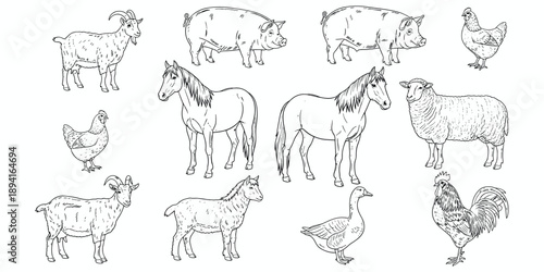 Diverse Farm Animals and Birds Illustrated in Black and White Line Art Keywords: farm animals, livestock, domestic animals