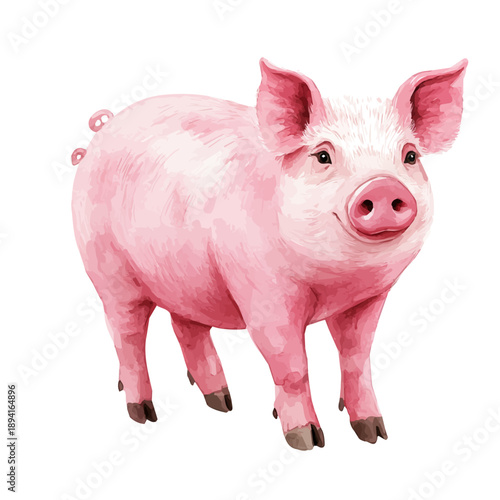 Pig, serene watercolor vector artwork with smooth washes of color and refined textures, isolated on a white background.