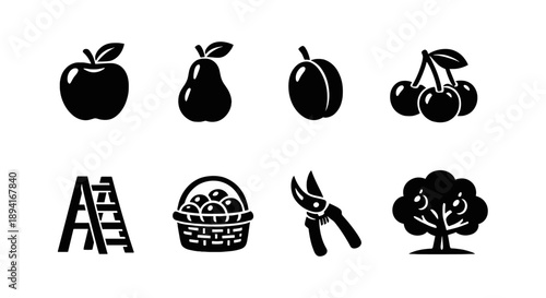 Fruit icons: apple, pear, plum, cherry, ladder, basket, pruners, tree silhouettes