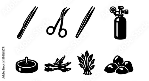 Aquascaping tools and elements: scissors, tweezers, co2, rock, driftwood, plant