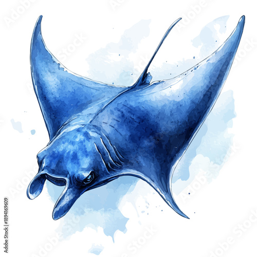 Manta Ray, elegant watercolor vector illustration with flowing lines and gentle color transitions, isolated on a white background.