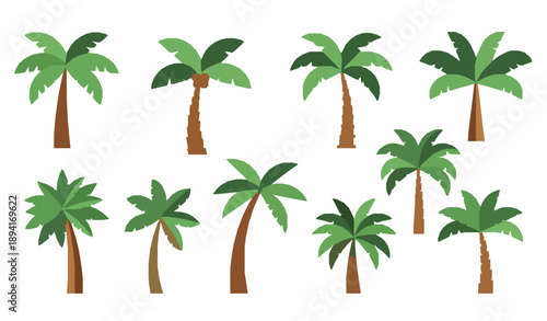 Flat palm tree vector icon set with modern tropical date palms isolated on white