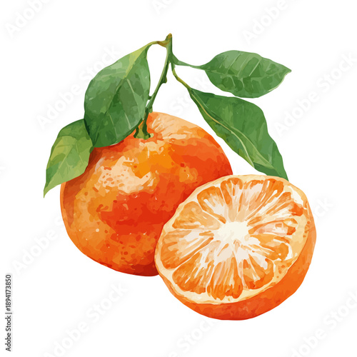 Watercolor isometric artwork featuring Tangerine, presented on white background.