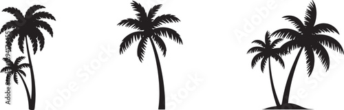 Set of palm trees in various silhouettes on transparent background