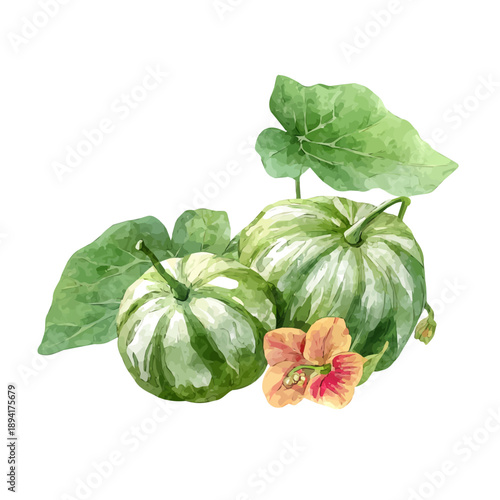 Shankhpushpi illustrated in isometric watercolor style, isolated on white.