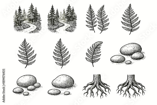 Scene woodland trail vector fern tree icon forest icons root tranquil river