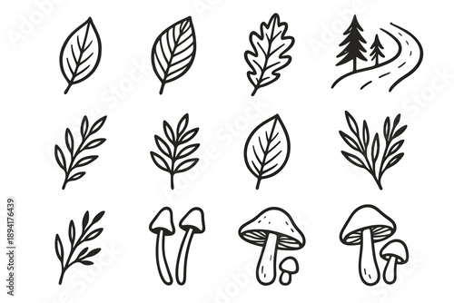 Boho handdrawn mushrooms creative icons icon twig trail theme leaves vector forest