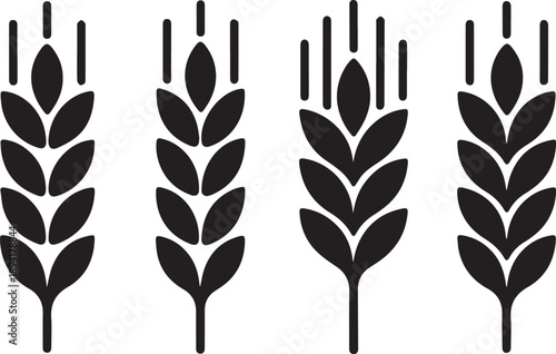  Wheats rye rice ears set icons design elements of organic agricultural food. Harvest wheat grain for beer logo, growth rice stalk and whole bread grains, barley field cereal nutritious - stock vector