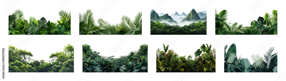 Naklejka premium PNG Lush tropical foliage landscape borders, transparent background