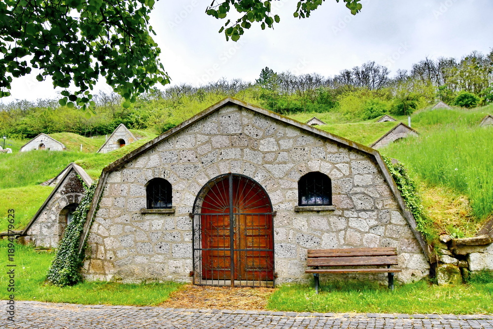 Obraz premium Cellar Row in Hegyalja