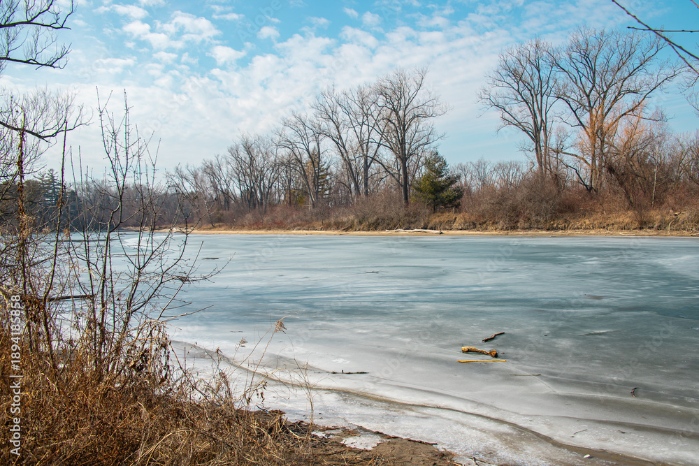 Fototapeta premium Peaceful view of a frozen lake surrounded by leafless trees and dry brush on a clear winter day in nature.