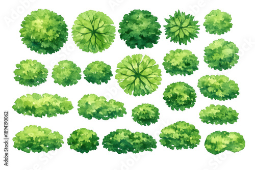 Watercolor tree and shrub collection illustrating green plants from a top aerial view, ideal for landscape architecture projects