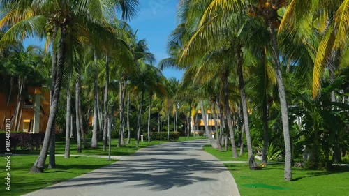Ground-Level View Down Palm-Lined Resort Path with Buildings and Blue Sky