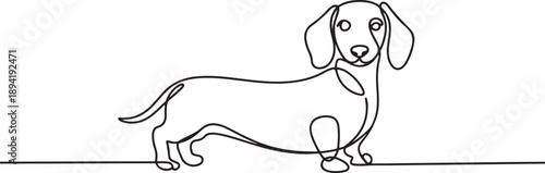 Hound dog in continuous one line drawing. Single line art illustration of adorable dachshund dog. one line Art icon drawing vector
