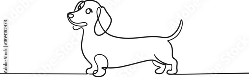 Hound dog in continuous one line drawing. Single line art illustration of adorable dachshund dog. one line Art icon drawing vector
