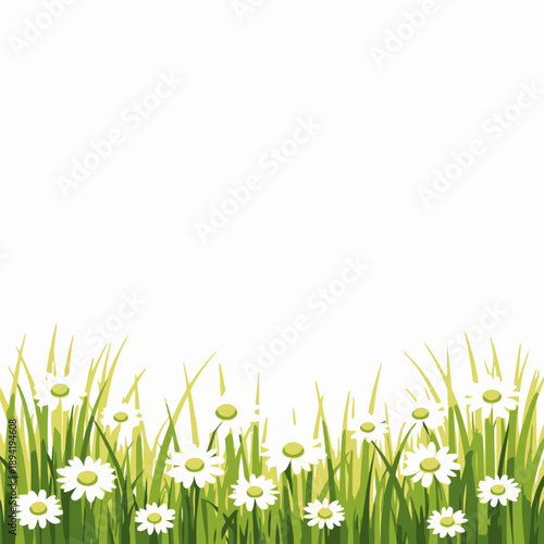 Vibrant Green Grass and Blooming White Daisies in a Serene Meadow Scene Under a Clear Blue Sky