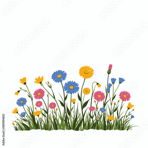 Vibrant Wildflower Meadow with Diverse Colorful Blooms, Featuring a Mix of Daisies, Dandelions, and Other Floral Varieties Against a Clear White Background