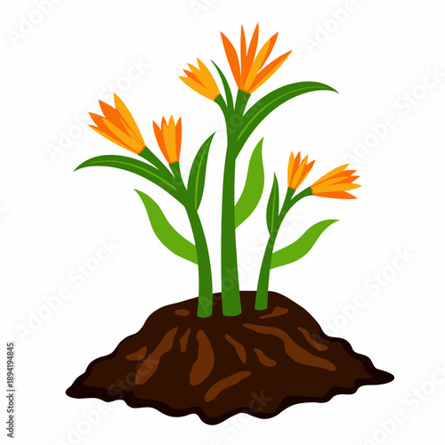 Vibrant Orange Blossoms Emerge from Fertile Soil Representing Growth and Renewal in a Natural Garden Setting