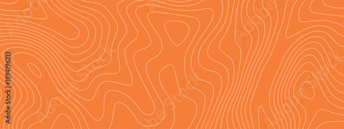 Sushi bg salmon and meat tuna fish with pattern texture abstract. Peach raw background and sushi fresh vector with gourmet orange bg. Japan sushi wave and sashimi meat beef with label tuna strip.