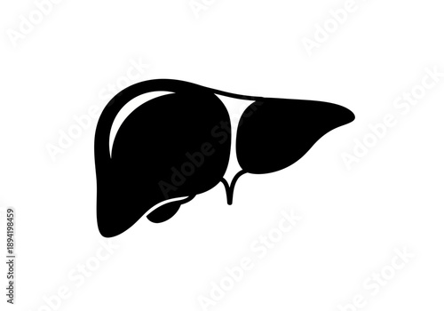 A very simple and fine black silhouette icon of a human liver organ 
