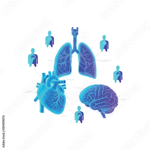Human organs illustration showing heart, lungs, and brain in blue hues surrounded by human figures.