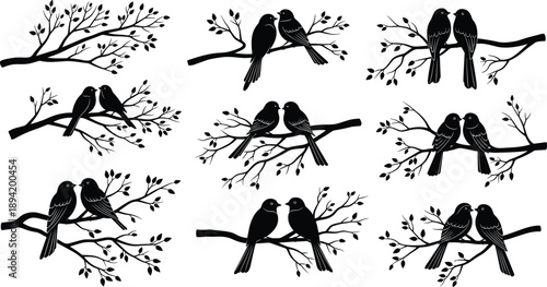 Love birds silhouettes set, romantic couple birds on branches, black vector illustration collection for wedding, nature and valentine design