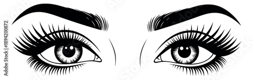 Line art illustration of female eyes depicting expressive gaze with long eyelashes and thick eyebrows for beauty and vision concepts
