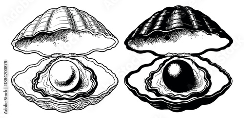 Hand drawn line art oyster and pearl set featuring open shells with pearls for seafood and luxury design