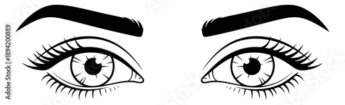 Elegant line art illustration of human eyes depicting an open gaze for beauty and makeup concepts