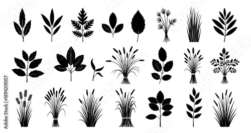 Stylized botanical silhouettes set featuring various leaves, grass, and plant bundles for nature-inspired designs