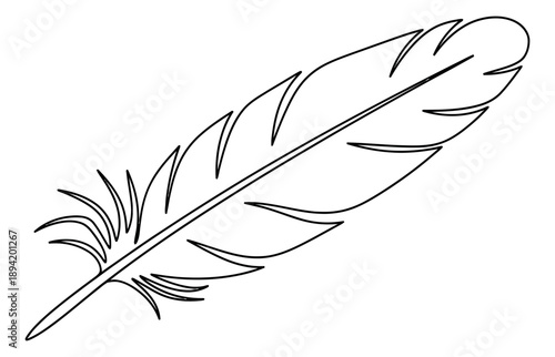 Hand drawn line art illustration of a feather depicting natural elegance for decorative designs