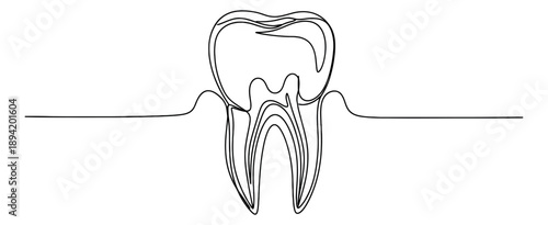 Continuous line art illustration of a tooth depicting dental anatomy for dental health concepts
