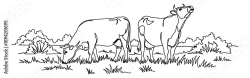 Hand drawn line art farm animal set featuring two cows grazing and standing in a pasture for agriculture and dairy themes